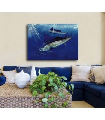 Sailfish Ball